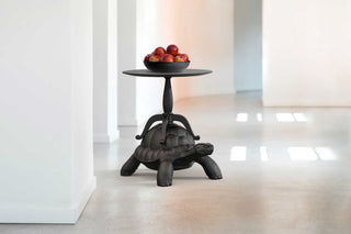 Turtle Carry Coffee Table