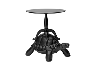 Turtle Carry Coffee Table